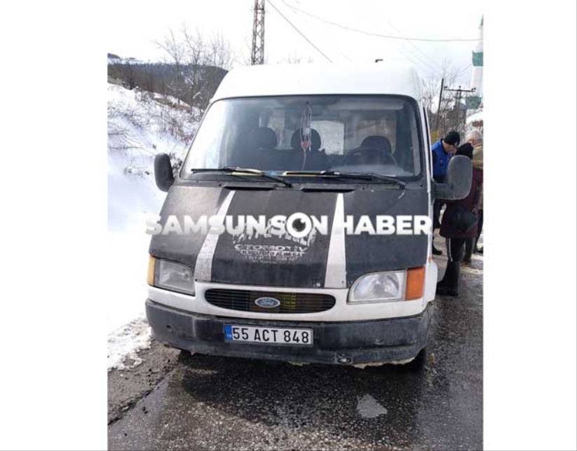 Kavak Belediyesi sokak hayvanlarını İlkadım'ın dağlarına atıyor