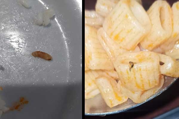 OMÜ'lü öğrenciler böcekli yemekleri sosyal medyadan paylaştı