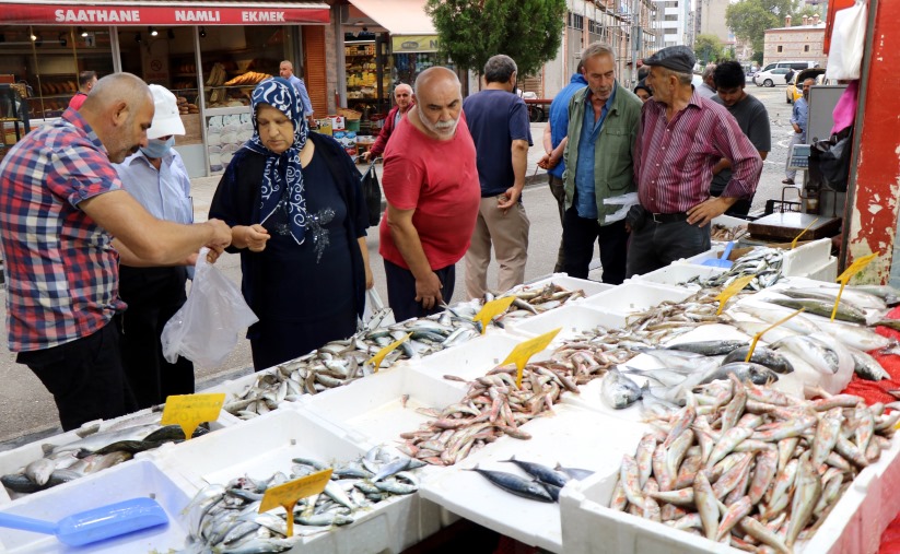  Samsun'da balıkçıların yüzünü çinakop güldürdü