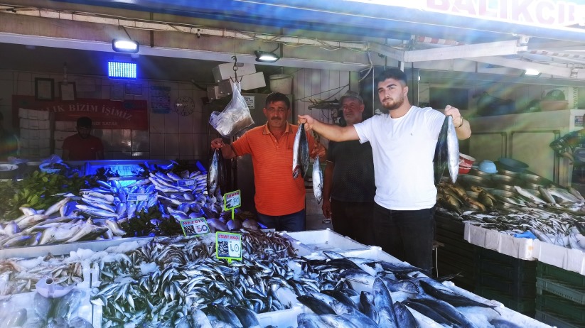 Samsun'da balıkçıların yüzü palamutla güldü