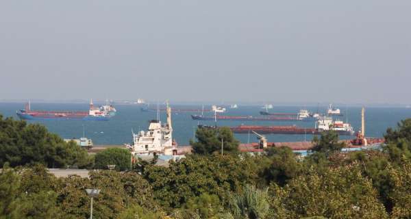 Samsun'dan Uzak Doğu ve Arabistan yarımadasına deniz salyangozu ihracatı