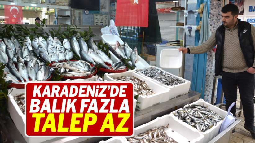 Karadeniz'de balık fazla, talep az - Ordu haber