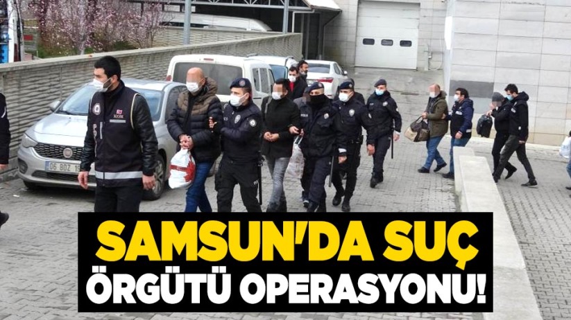 Samsun'da suç örgütü operasyonu!
