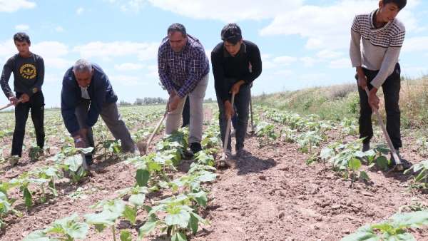 Başkan Koçak: 'Tarım işçileri olmazsa tarım olmaz' 