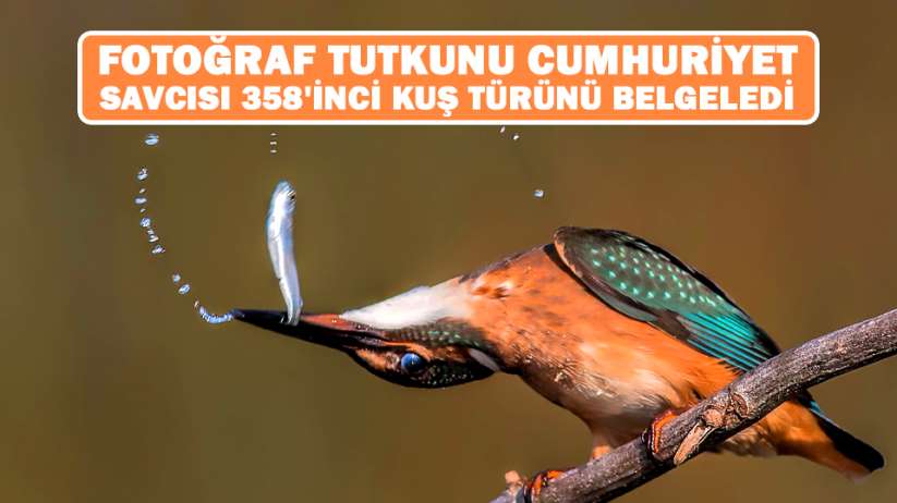 Fotoğraf tutkunu cumhuriyet savcısı 358'inci kuş türünü belgeledi