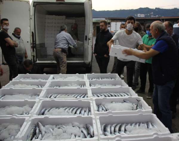 Rize'de denize açılan balıkçılar kasalar dolusu palamutla döndü 