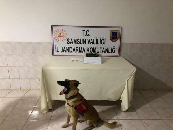 Bafra'da kubar esrar ele geçirildi