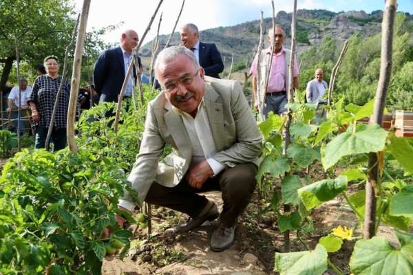 Hilmi Güler'in tarım projesi kazandırıyor 