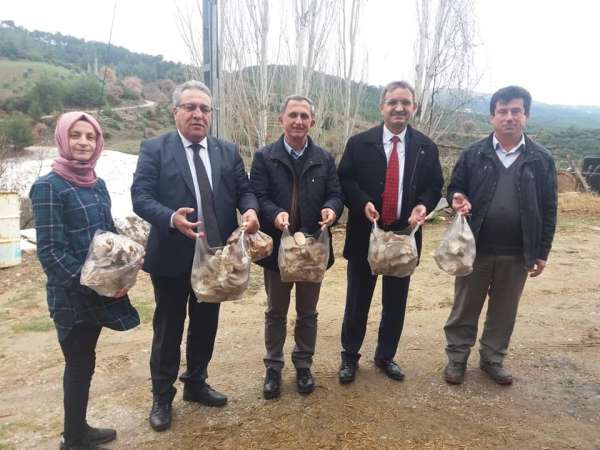 Genç Çiftçi Projesi ile istiridye mantarı üretimine başladı 