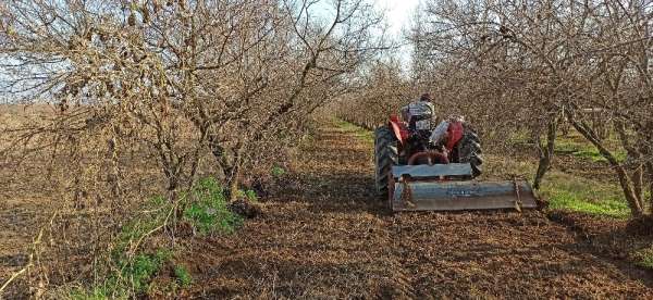 İzmir'de kısıtlamaya rağmen tarlalarda üretim devam etti