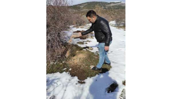 Sokak hayvanlarını gençler besledi