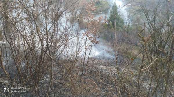 Türkeli'de anız yangını: 1 yaralı
