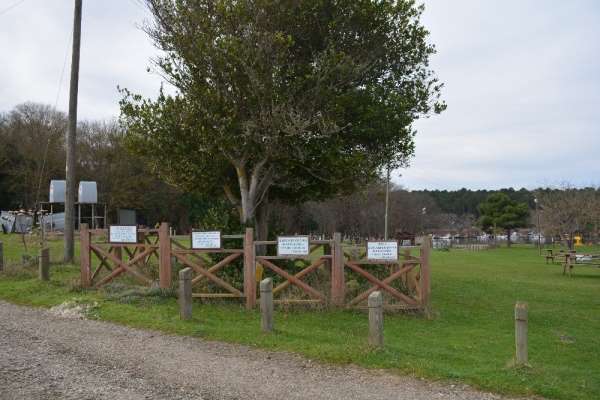 Sinop'taki tarihi mezarların sırrı çözüldü