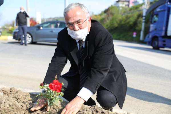 Ordu'da isme göre fidan dikiliyor