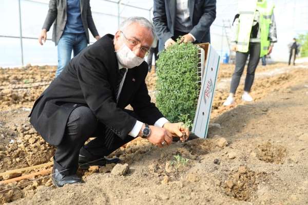 Ordu'da sözleşmeli tarım başlıyor
