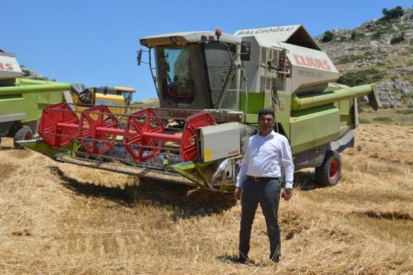 Başkan, belediyeye ait tarlaya ektiği buğdayla bütçeye katkı saladı 