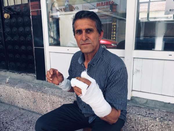 Yozgat'ta ayının saldırısına uğrayan adam yaralandı 
