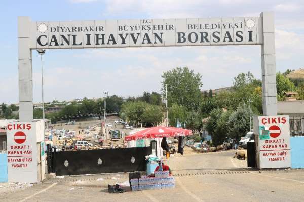 Diyarbakır'da kurbanlık fiyatları bayramın 3'üncü gününde düştü 