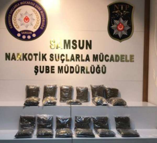 Samsun'da 16 kilo 410 gram bonzai ele geçti: 6 gözaltı 