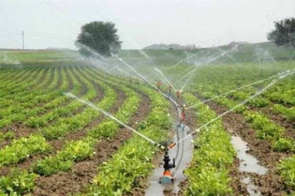 Tokat'ta 55 bin 550 dekar tarım arazisi modern sulama şebekesine kavuşacak 