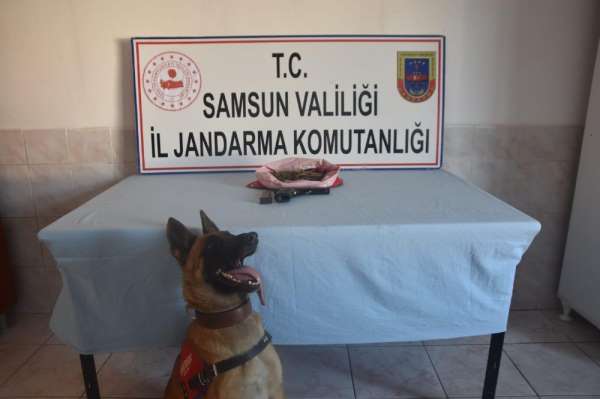 Bafra'da kubar esrar ele geçirildi