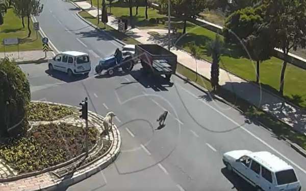 Köpeğe çarpmamak için durdu, traktör ona çarptı, kaza anları kamerada