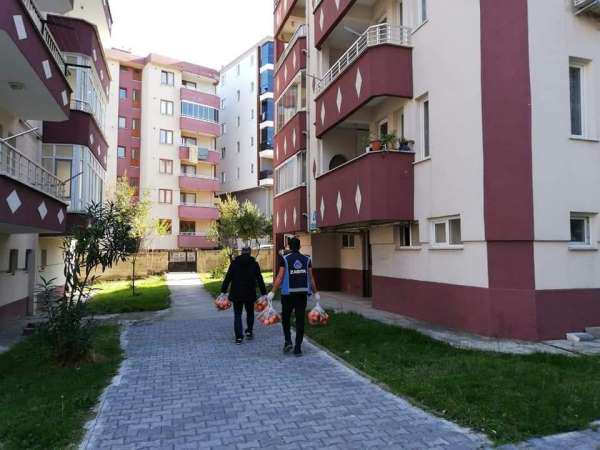 Türkeli'de 2 bin haneye meyve dağıtımı