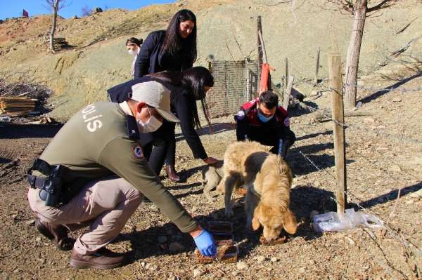 Polislerle hayvanseverler sokak hayvanlarına mama dağıttı