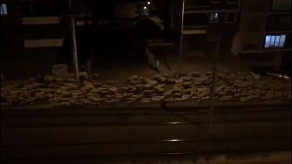 Samsun'da koyun sürüsü caddeye indi