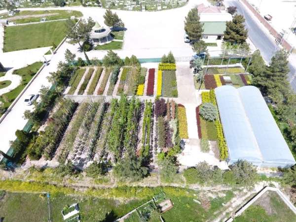Suluova'da yılda 100 binin üzerinde bitki ve çiçek üretimi