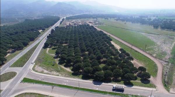 Türkiye'nin ilk gıda ihtisas organize sanayi bölgesi Ayvalık'ta kuruluyor 