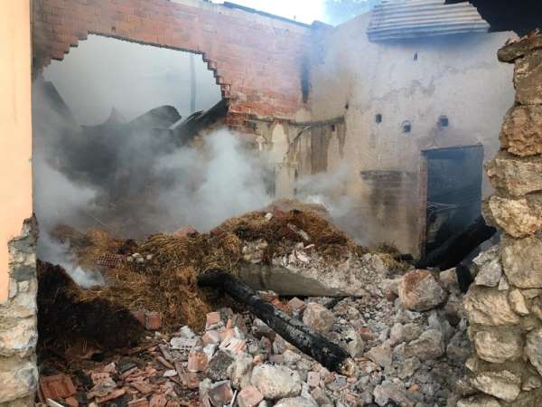 Amasya'da ahır ve samanlık yangını: 13 hayvan telef oldu 