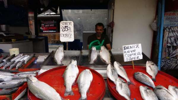 Balıkçı esnafı tarihinin en durgun dönemini yaşıyor