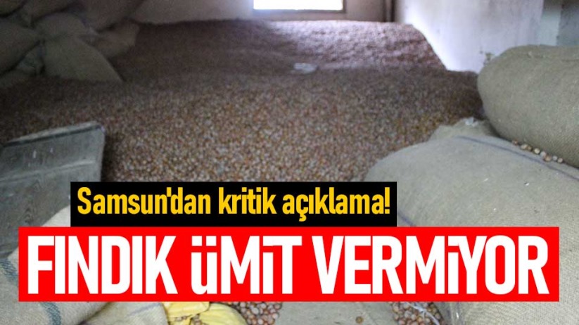 Samsun'dan kritik açıklama! Fındık ümit vermiyor