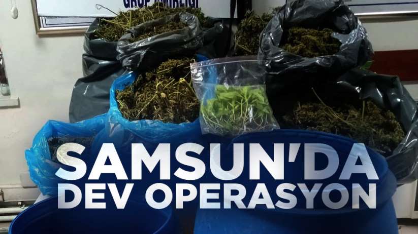 Samsun'da dev operasyon