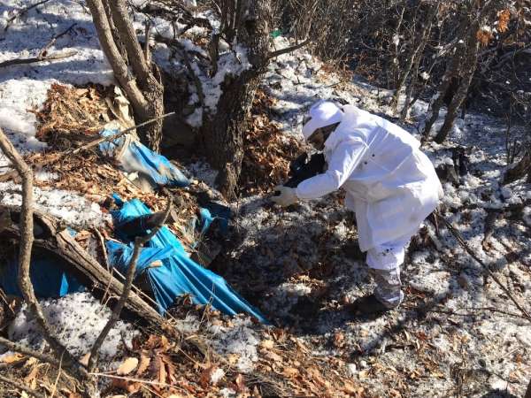 Siirt'te PKK'lı teröristlere ait silah ve mühimmat ele geçirildi 