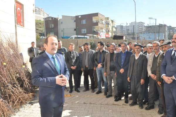 Şırnak'ta çiftçilere 27 bin 700 adet meyve fidanı fidan dağıtıldı