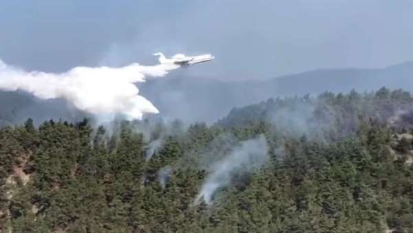 Sinop'taki orman yangınına havadan müdahale ediliyor 
