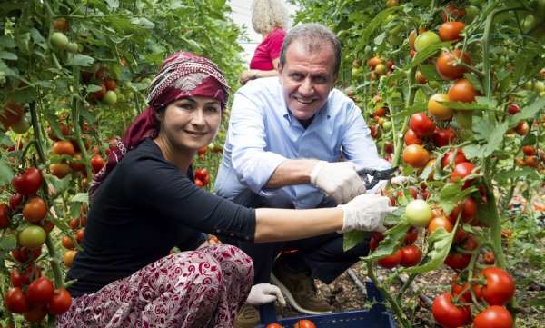 Mersin'de tarım kalkınıyor, üretici kazanıyor 