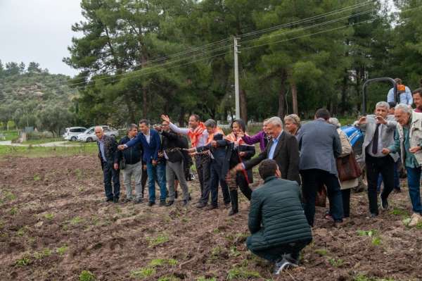 Bodrum'da ata tohumları geleceğe serpildi