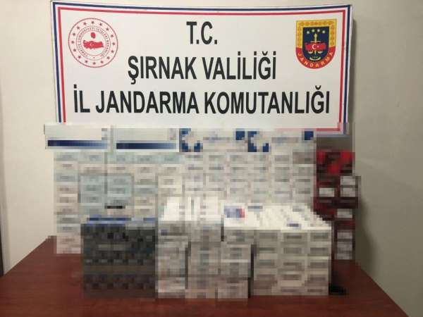 Şırnak’ta kaçakçılık ve terörle mücadele operasyonu: 33 gözaltı