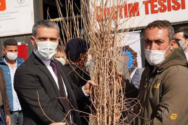 İpek böceği üretimine Diyarbakır Büyükşehir Belediyesinden destek 