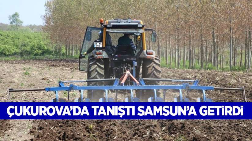 Çukurova'da tanıştı, Samsun'a getirdi