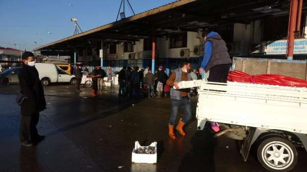 Trabzon Toptancı Balık Hali'ne gelen balık miktarındaki düşüş devam ediyor 