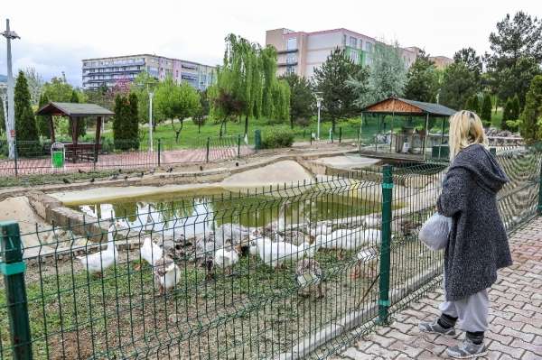 Üniversite öğrencisi kampüs bahçesindeki hayvanları unutmadı