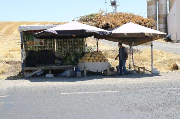 Kavurucu sıcakta karpuz satarak ekmek parasını kazanıyor 