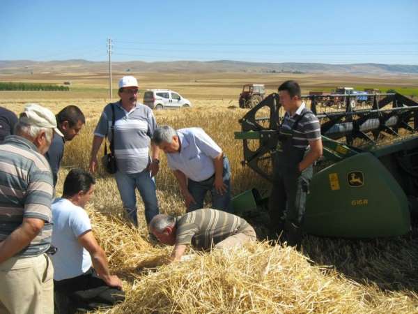 Tarımsal üretimdeki önlenebilir kayıplar, Türkiye'nin ekmek ihtiyacını karşılaya