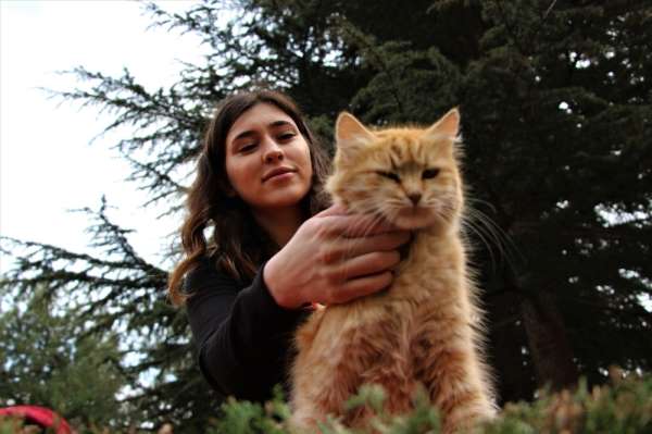 Elazığ'da üniversite öğrencisi, sokak hayvanlarını besliyor