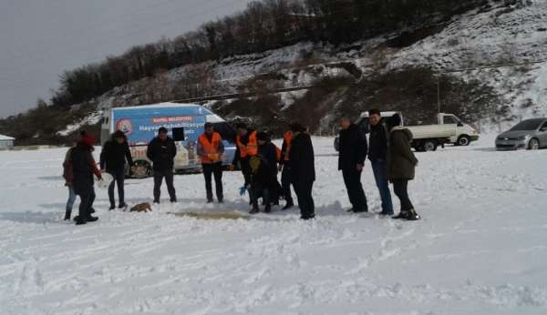 Bafra'da sokak köpekleri unutulmadı 