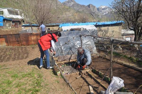 Şırnak'ta organik sebze tohumları toprakla buluştu